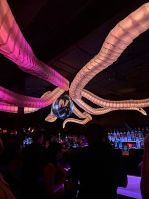 Discopussy by null