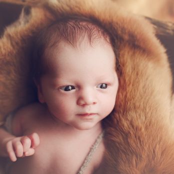 Bethany Hope Photography - Session Photography Near Me - Chicago, Illinois