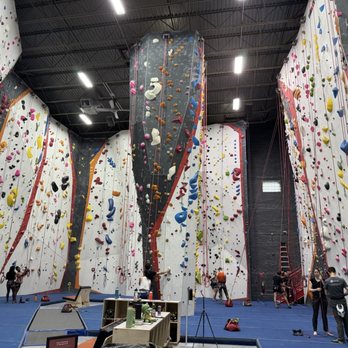 Movement Callowhill - Top rope/lead climbing area - Climbing Near Me - Philadelphia, Pennsylvania Movement Callowhill - Top rope/lead climbing area - Climbing Near Me - Philadelphia, Pennsylvania