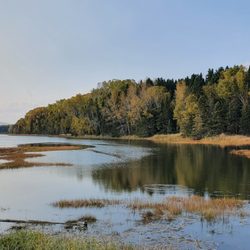 Parc National Forillon