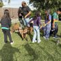 Photo of ponyparty4kids