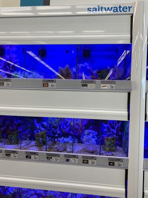 Petco by null