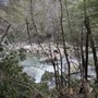 Photo of Swallow Falls State Park