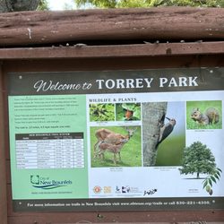 Torrey Park