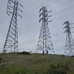 San Bruno Mountain Watch