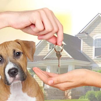 G&K Favors - House Sitters Near Me G&K Favors - House Sitters Near Me