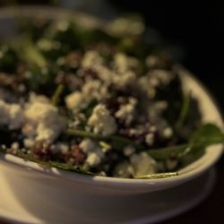 The Mews Restaurant & Cafe - Beet & goat cheese salad