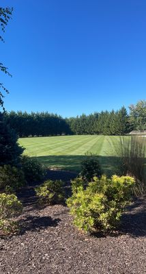 Lawn Services - Spring is right around the corner! Looking to get a fresh cut? Call today! Lawn Services - Spring is right around the corner! Looking to get a fresh cut? Call today!