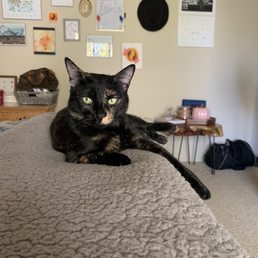 My sweet little Stevie!