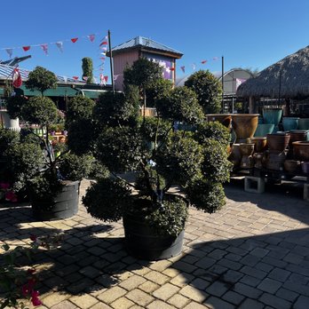 Flamingo Road Nursery - Nurseries & Gardening Near Me - Davie, Florida