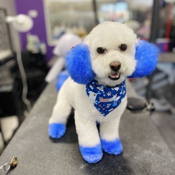 Sirius Pet Styling - We offer Custom Color and Creative Design! - Pet Groomers Near Me - Las Vegas, Nevada Sirius Pet Styling - We offer Custom Color and Creative Design! - Pet Groomers Near Me - Las Vegas, Nevada