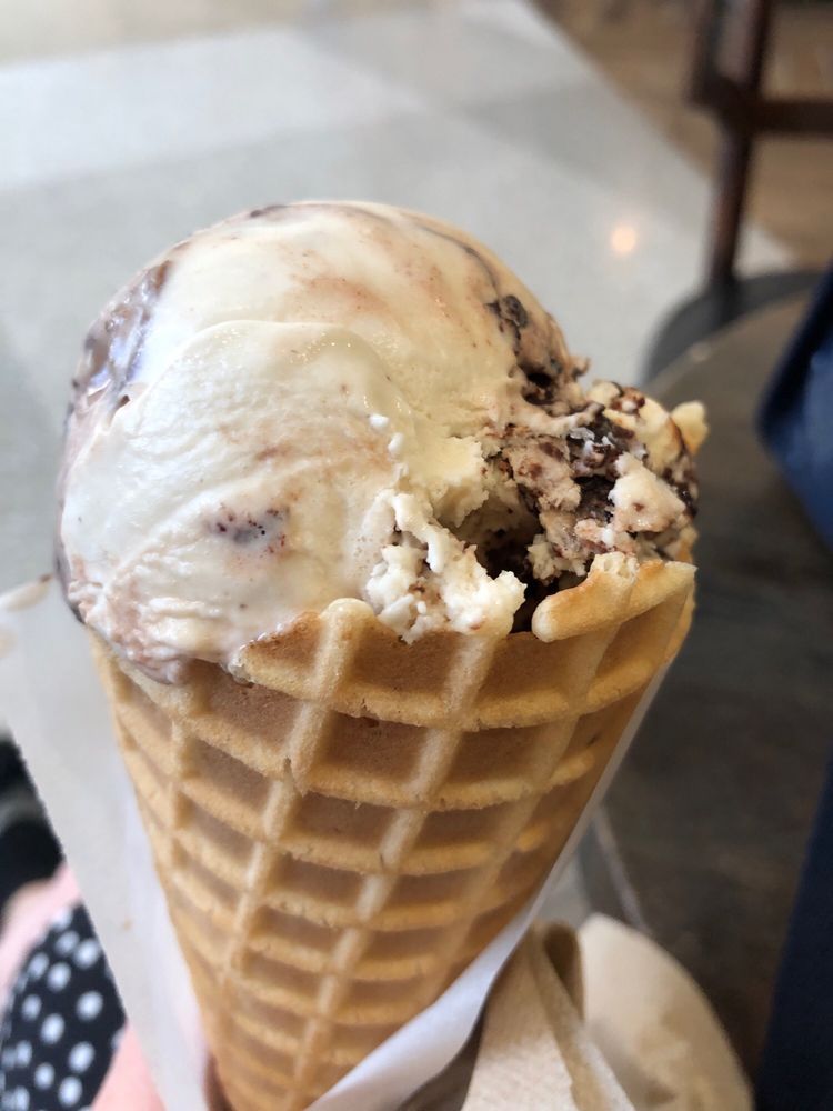 THE COMFY COW Updated October 2024 10 Reviews 600 Terminal Dr