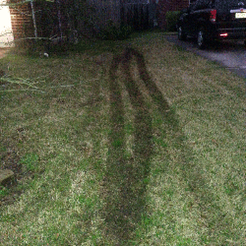 Fresh Lawn Mowing Service - After four days of rain, Fresh Law Mowing Services decided that mudding in my front yard was a good idea. - Lawn Services Near Me - Houston, Texas Fresh Lawn Mowing Service - After four days of rain, Fresh Law Mowing Services decided that mudding in my front yard was a good idea. - Lawn Services Near Me - Houston, Texas