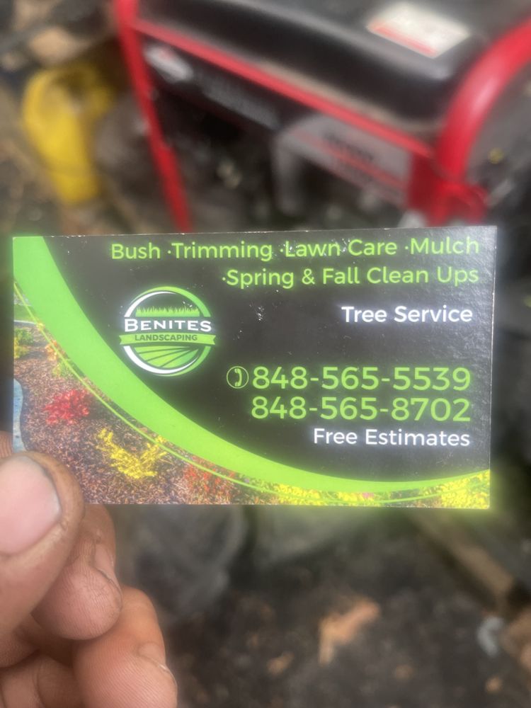 Benites Landscaping - tree service in Howell, NJ
