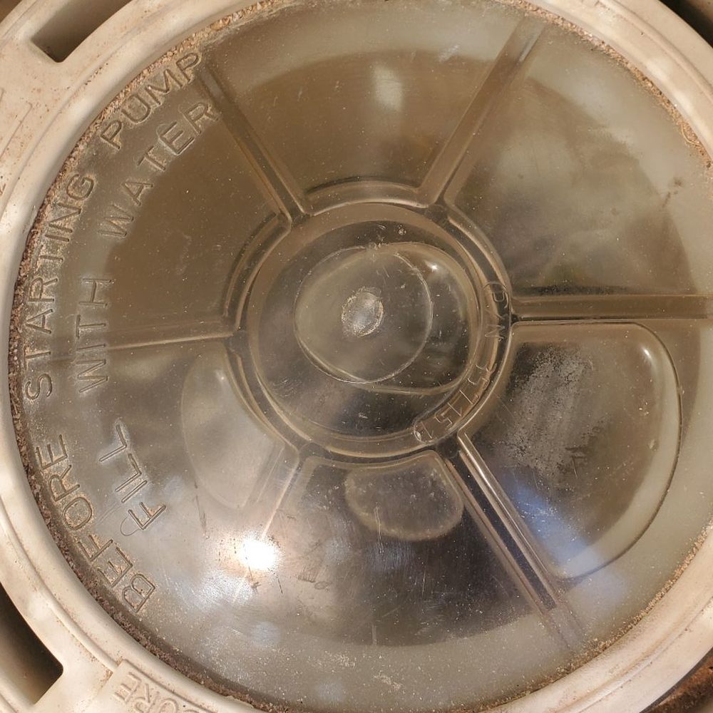 Barefoot Pools - Pump basket not emptied. - Pool Cleaners Near Me - Gilbert, Arizona Barefoot Pools - Pump basket not emptied. - Pool Cleaners Near Me - Gilbert, Arizona