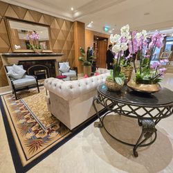 Millennium Gloucester Hotel London Kensington - Orchids