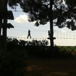 Bosque Suspendido - Desde arriba impresiona más