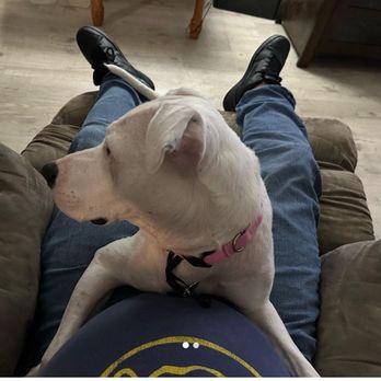 PEGGY ADAMS ANIMAL RESCUE LEAGUE - Updated September 2024 - 95 Photos