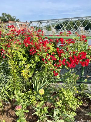 Bridge of Flowers by null
