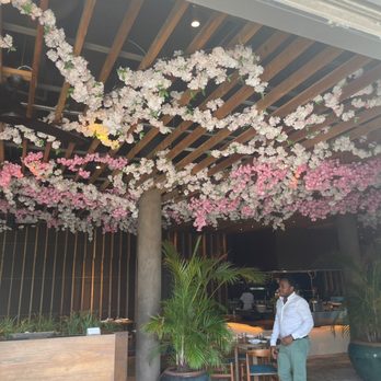 ETARU - Japanese Near Me - Hallandale Beach, Florida ETARU - Japanese Near Me - Hallandale Beach, Florida