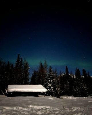 Northern Alaska Tour Company by null
