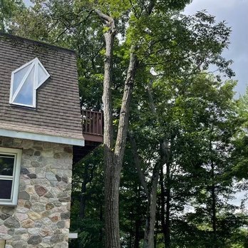 Hudson Valley Tree Removal - Bad tree - Tree Services Near Me - Middletown, New York