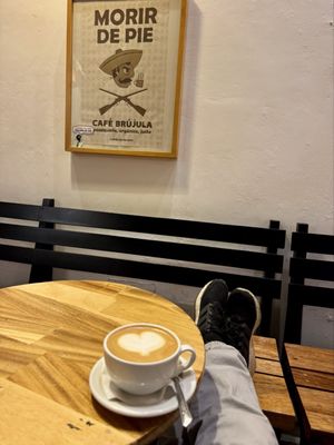 Café Brújula Alcalá | Café de Especialidad de Oaxaca, México by null