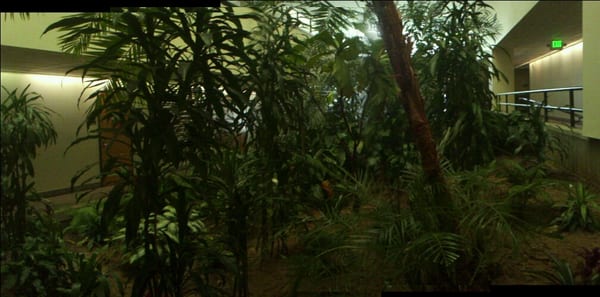 City College of San Francisco - Southeast Center Library by null