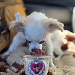 La Michoacanita Paleteria y Neveria - loving the giant pup cup