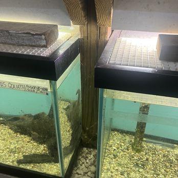 Paradise Aquarium - Pet Stores Near Me - Ridgewood, New York