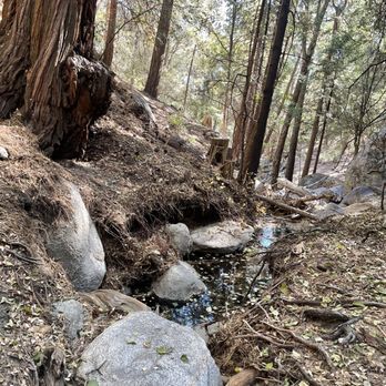 The Idyllwild Bunkhouse - Hiking trail - Hotels Near Me - Idyllwild, California The Idyllwild Bunkhouse - Hiking trail - Hotels Near Me - Idyllwild, California