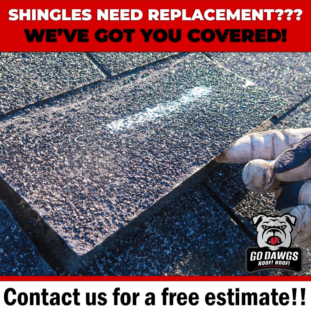 Slide of Go Dawgs Roof Roof