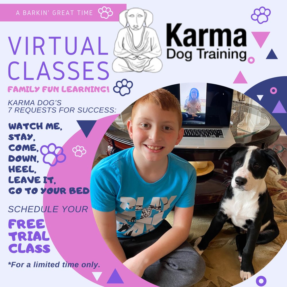 KARMA DOG TRAINING 4937 Las Virgenes Rd, Calabasas, California Dog