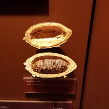 The Hershey Story - Museums Near Me - Hershey, Pennsylvania