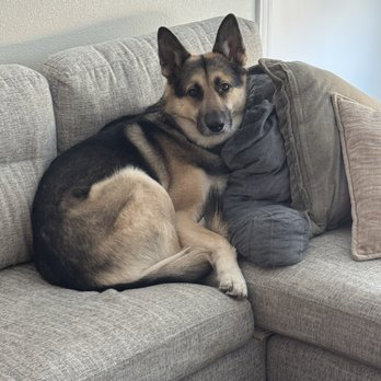 Ryder at Davis Leasing Office - Zuko in the pre-furnished apartment! - University Housing Near Me - Davis, California Ryder at Davis Leasing Office - Zuko in the pre-furnished apartment! - University Housing Near Me - Davis, California