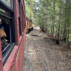 Skunk Depot - Dogs can ride the skunk train!