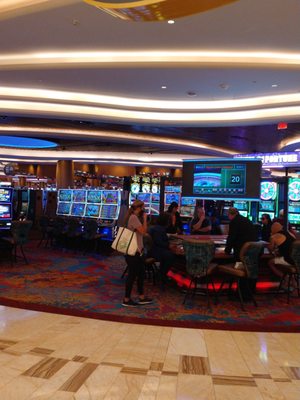 Seminole Hard Rock Hotel & Casino Hollywood, FL by null