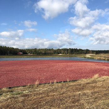 Makepeace Farms - Bakeries Near Me - Wareham, Massachusetts