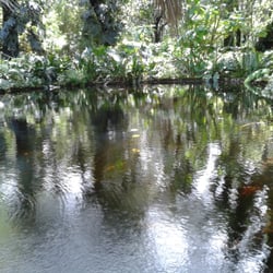 Reggia di Portici - Il laghetto dell''Orto Botanico