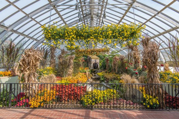 Phipps Conservatory and Botanical Gardens by null