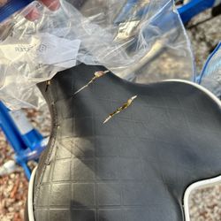 Billy's Bikes - Had to find a plastic bag. I hope i don't get an infection from this festering water trapped in my seat