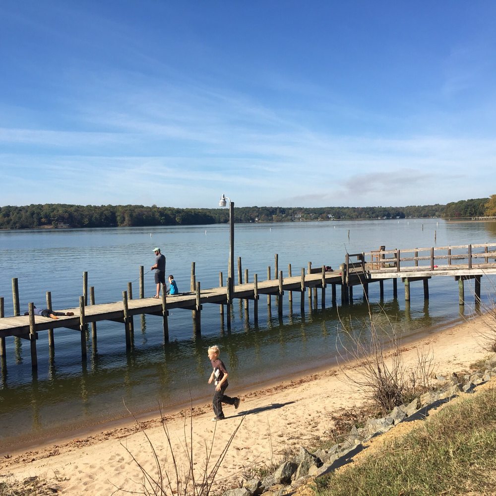 Lake Anna State Park - The trail around the lake, only three miles in total - Parks Near Me - Spotsylvania, Virginia