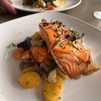 North Harbor Club - Salmon - New American Near Me - Davidson, North Carolina North Harbor Club - Salmon - New American Near Me - Davidson, North Carolina