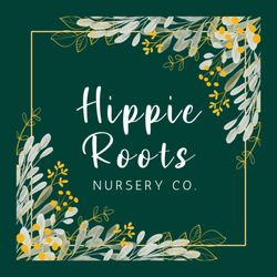 Hippie Roots Nursery