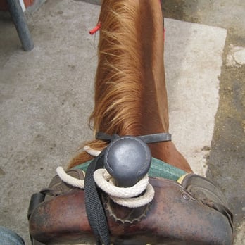 Kualoa Ranch - Horseback Riding - Tours Near Me - Kaneohe, Hawaii
