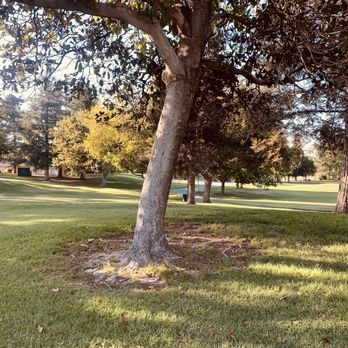 Dave Brubeck Park - Parks Near Me - Concord, California