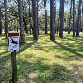 Crooked River State Park - Parks Near Me - Saint Marys, Georgia Crooked River State Park - Parks Near Me - Saint Marys, Georgia