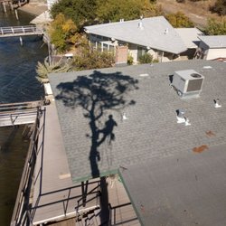 Criss Tree Care - Dead pine removal