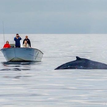 Oceanside Adventures - Boat Charters Near Me - Oceanside, California