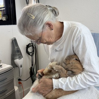 Sunshine Rabbit Center - Pet Groomers Near Me - Long Beach, California Sunshine Rabbit Center - Pet Groomers Near Me - Long Beach, California